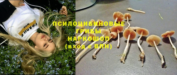 хмурый Алексеевка